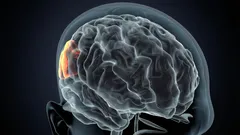 Je moet weten welke gevolgen slaaptekort vaak heeft voor je brein.